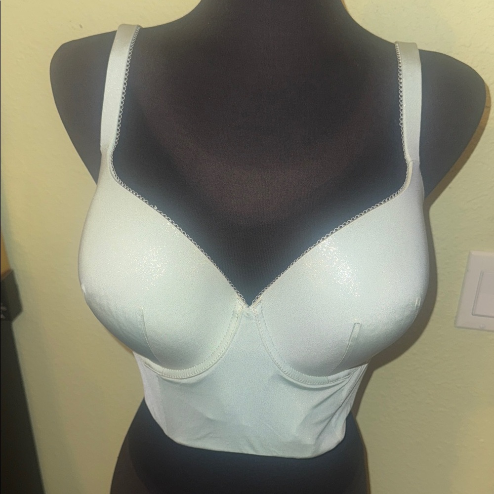 Victorias Secret Elegant Light Blue Sparkle Women's Bustier Size 38DDD